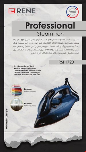 اتو بخار RSI۱۷۲۰ مشکی سرمه ای رنه